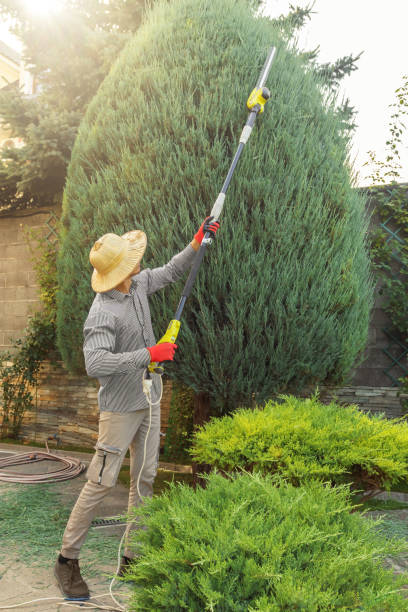 Best Tree Preservation Services  in Galena, IN